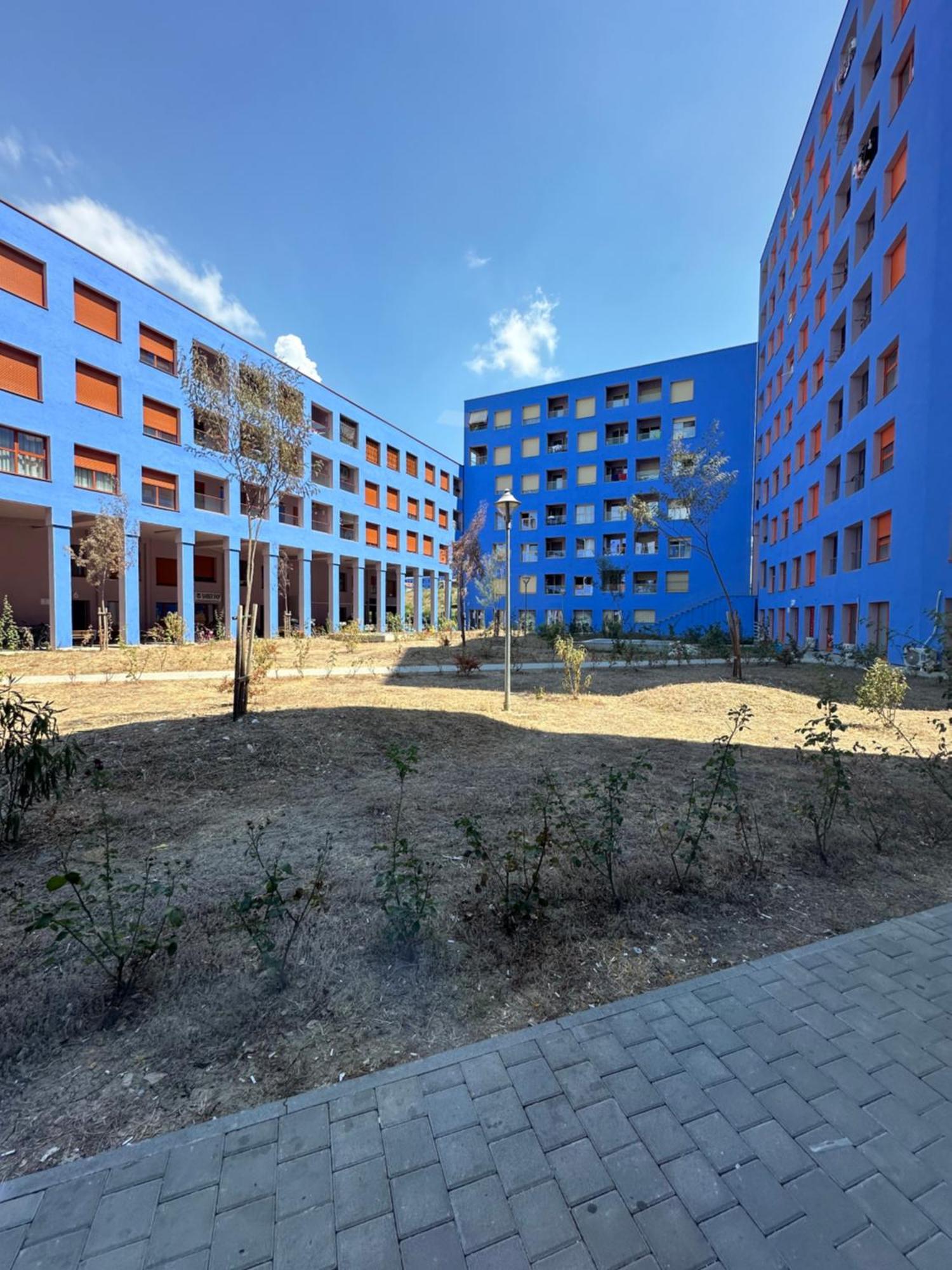 Sunflower Apartment Tirana Extérieur photo